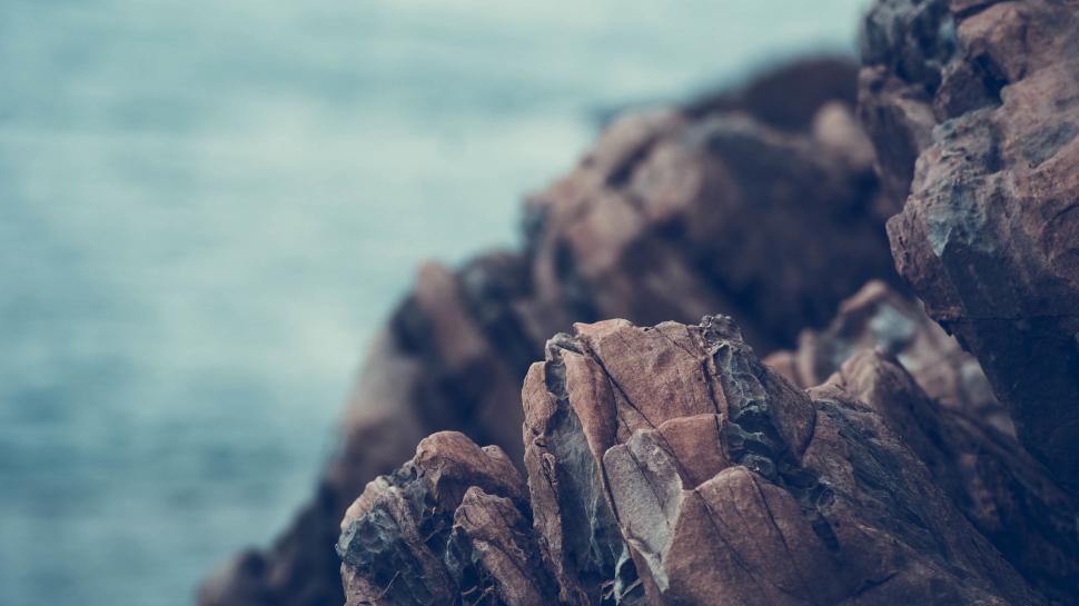 Free Image of Bird Perched on Rock by Ocean 
