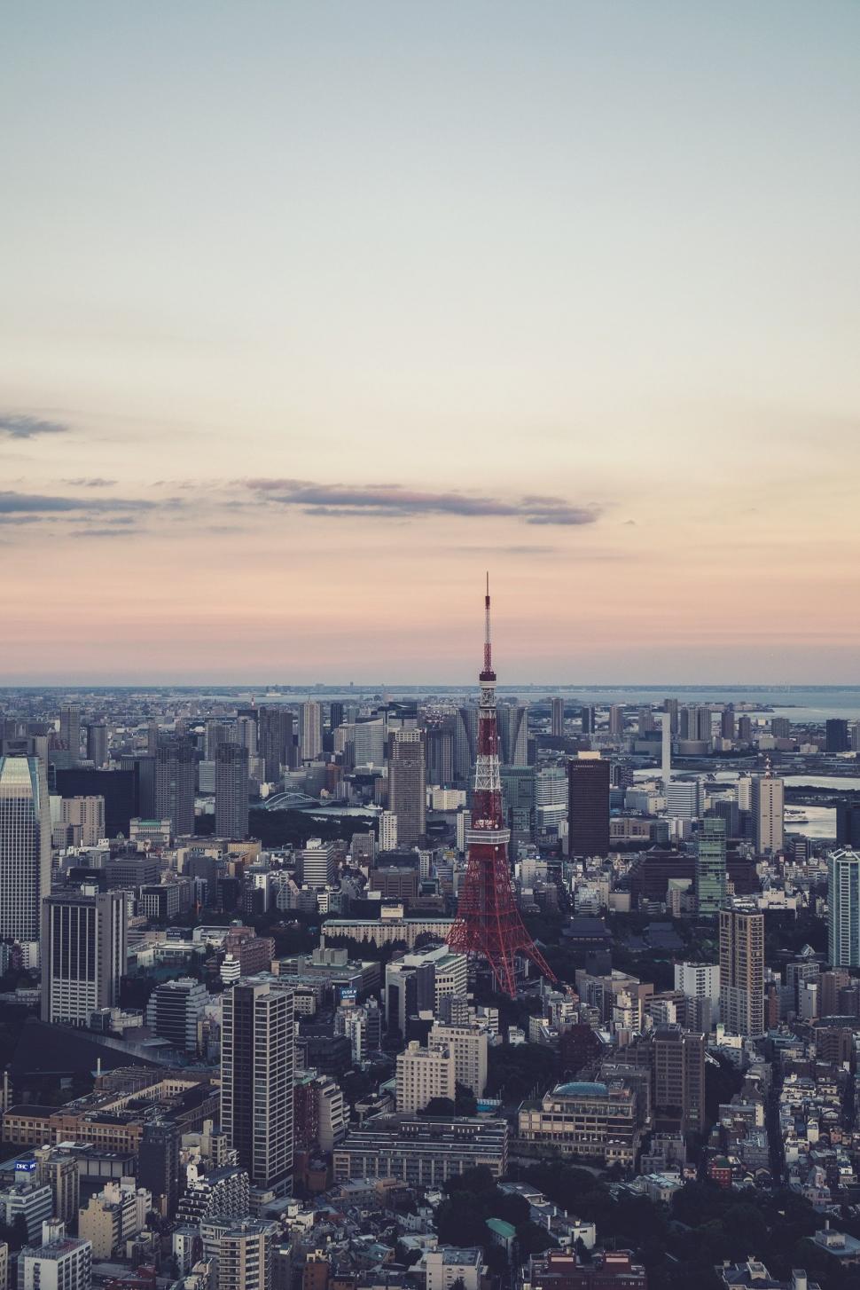 Free Image of Aerial View of City With Tall Buildings 