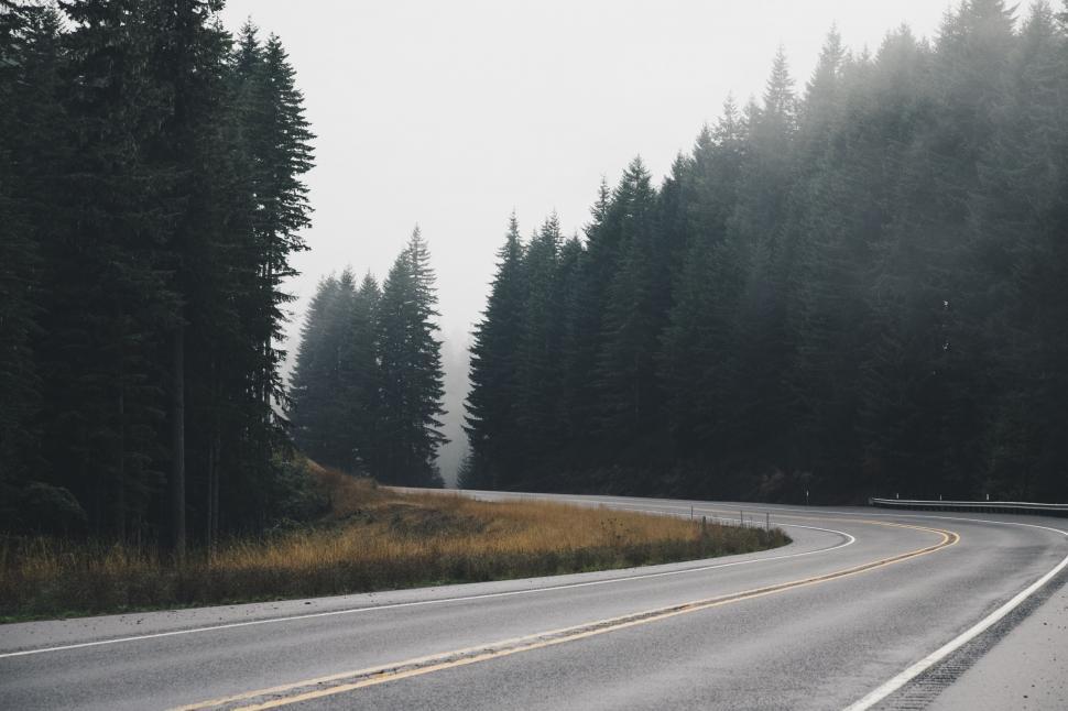 Free Image of Scenic Road With Trees Lining Both Sides 