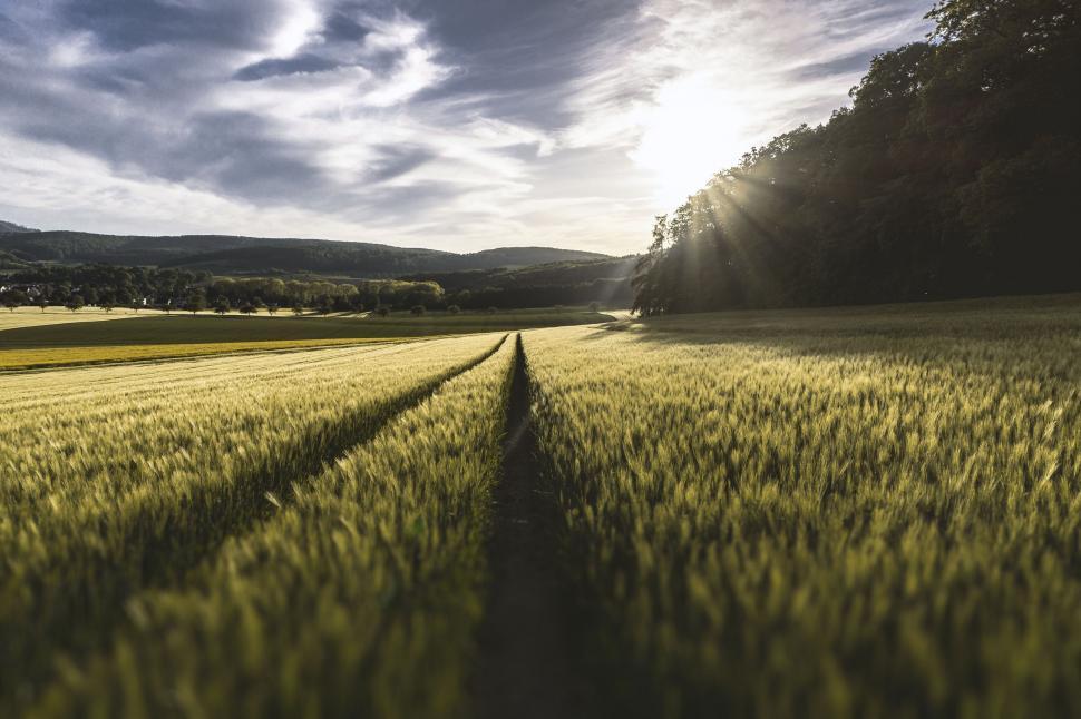 Free Image of Sunlight Streaming Through Clouds Over Grass Field 