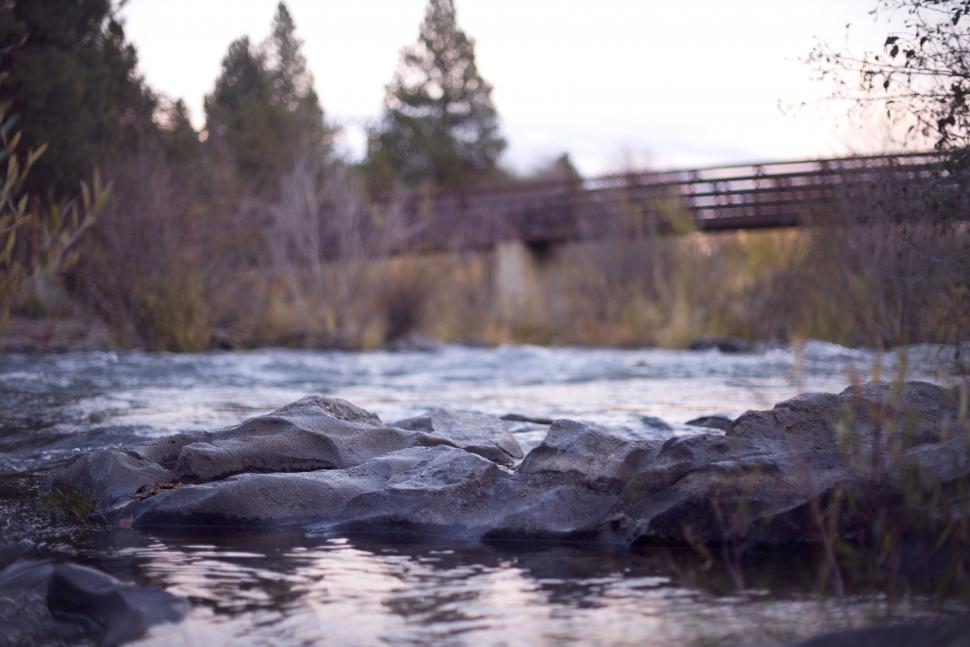 Free Image of River Running Through Forest Next to Bridge 