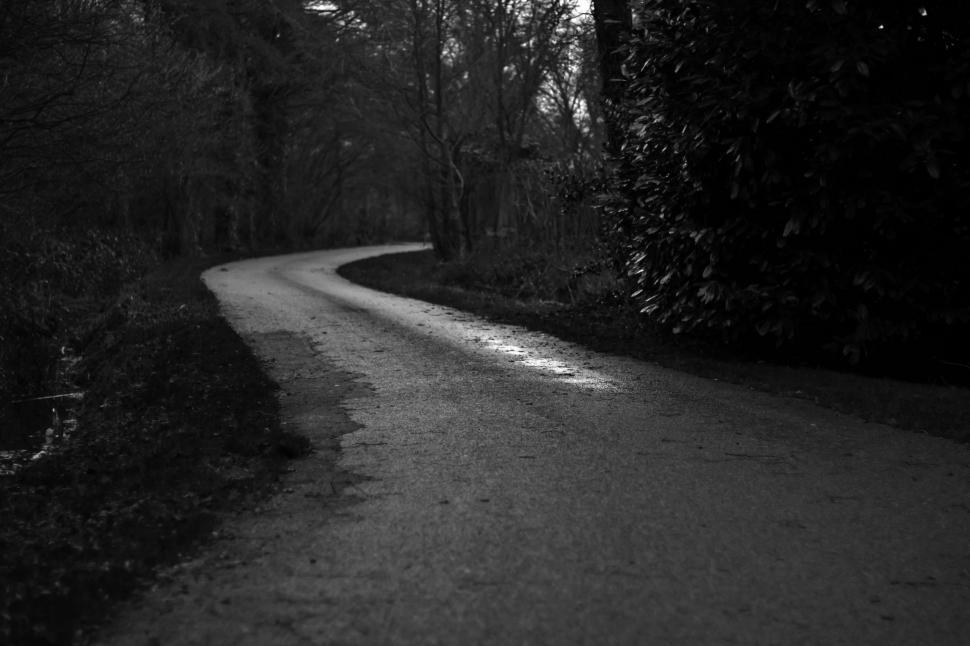 Free Image of Road Cutting Through Forest 