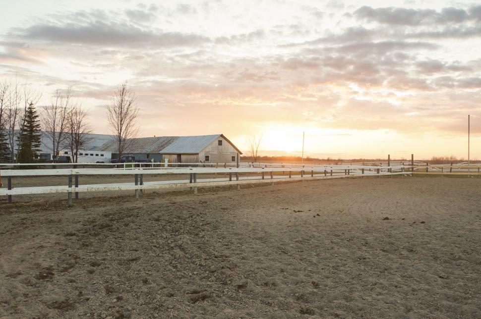 Free Image of Horse Standing in Fenced Area 