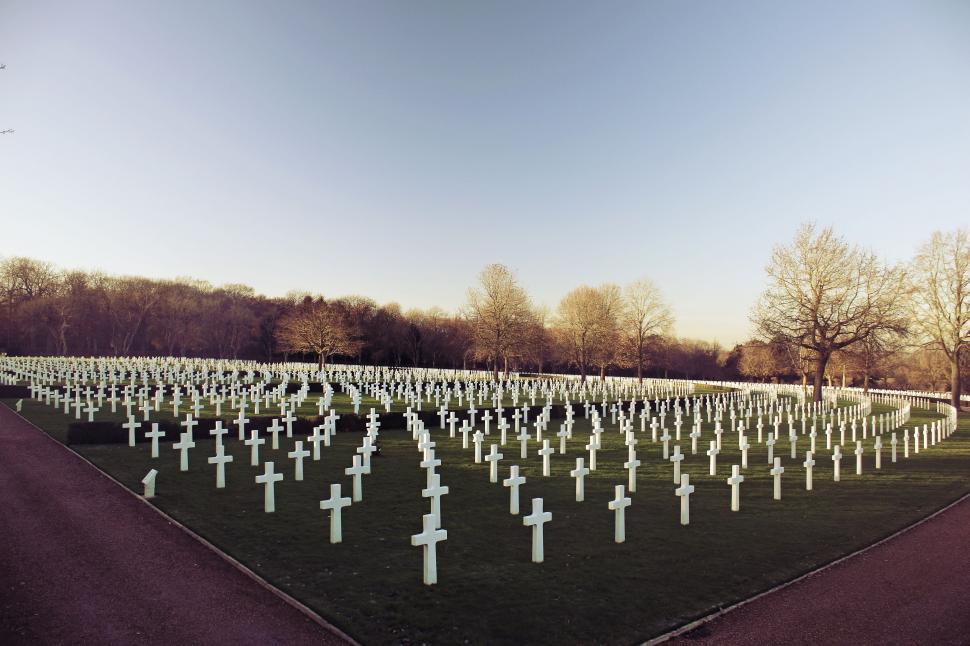 Free Image of Large Cemetery With Many Crosses 