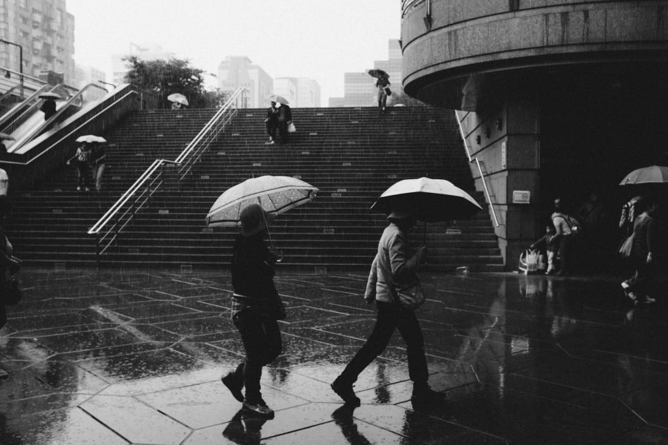 Free Image of Group of People Walking Down a Street Holding Umbrellas 