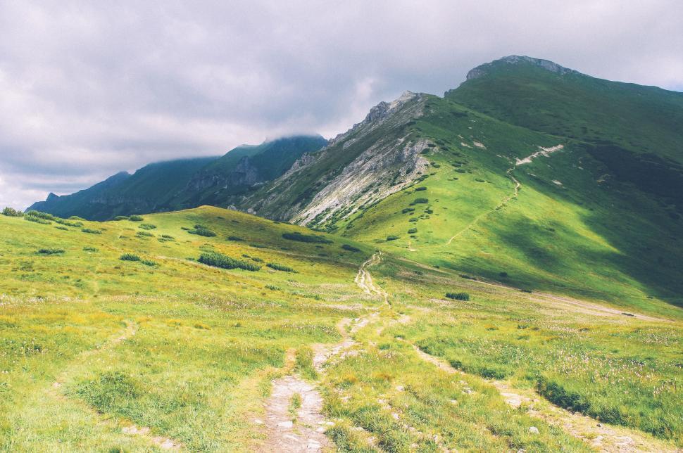 Free Image of Grassy Field With Mountain in Background 