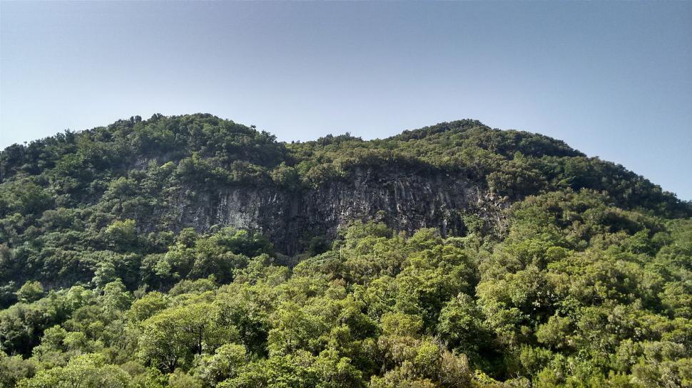 Free Image of Mountain Covered in Trees Under Blue Sky 