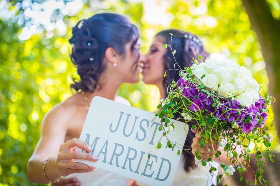 Free Image of Bride and Groom Kissing in Front of a Tree 