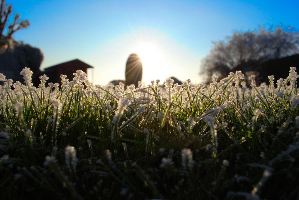 Free Image of Sun Shining Through Clouds Over Field of Grass 