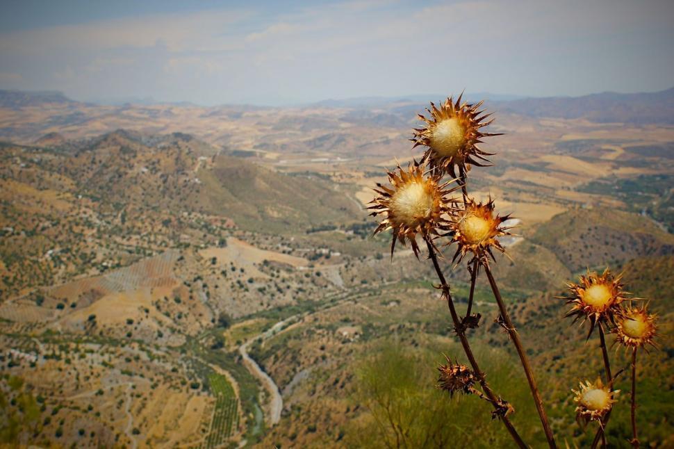 Free Image of Overlooking a Valley and River From a Hill 