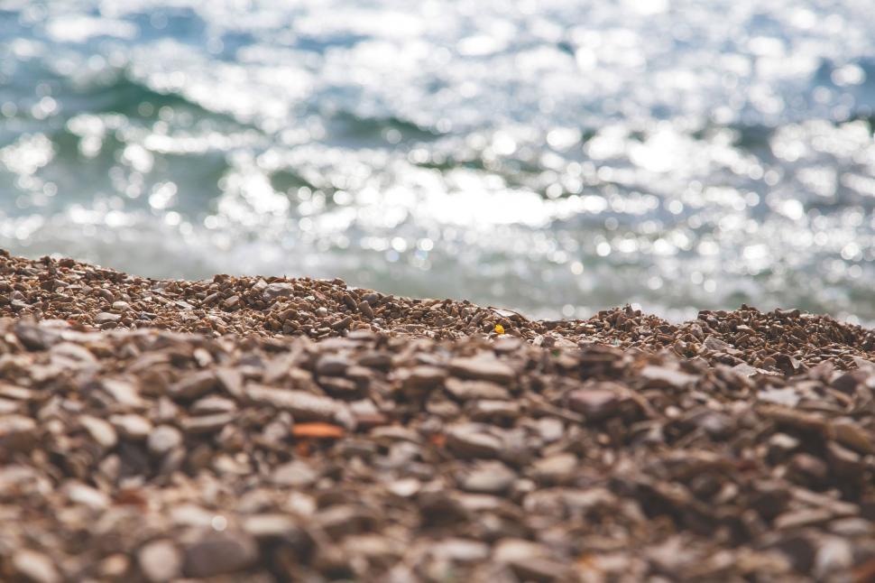 Free Image of Bird Standing on Beach Next to Ocean 