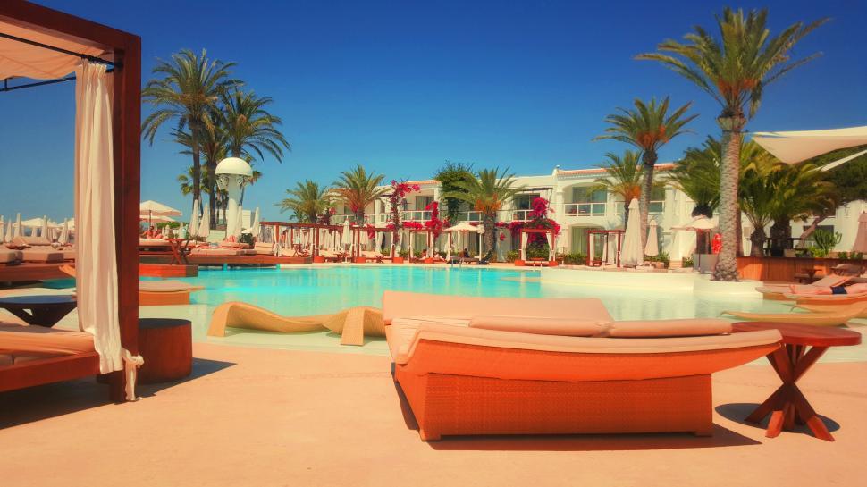 Free Image of Large Swimming Pool Surrounded by Palm Trees 