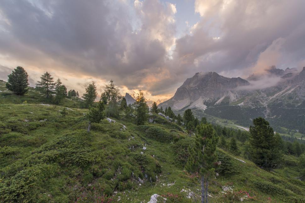 Free Image of Grassy Hill With Trees and Mountains in Background 