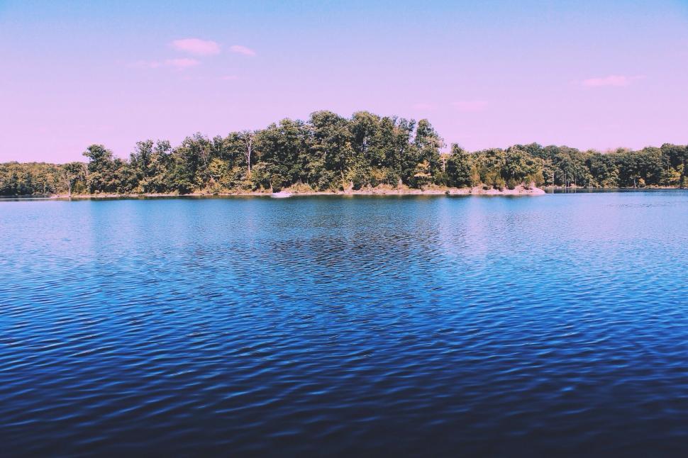 Free Image of Water Body Surrounded by Trees 