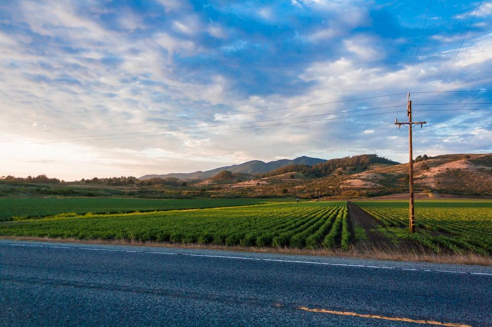 Free Image of Rural Road Through Green Field 