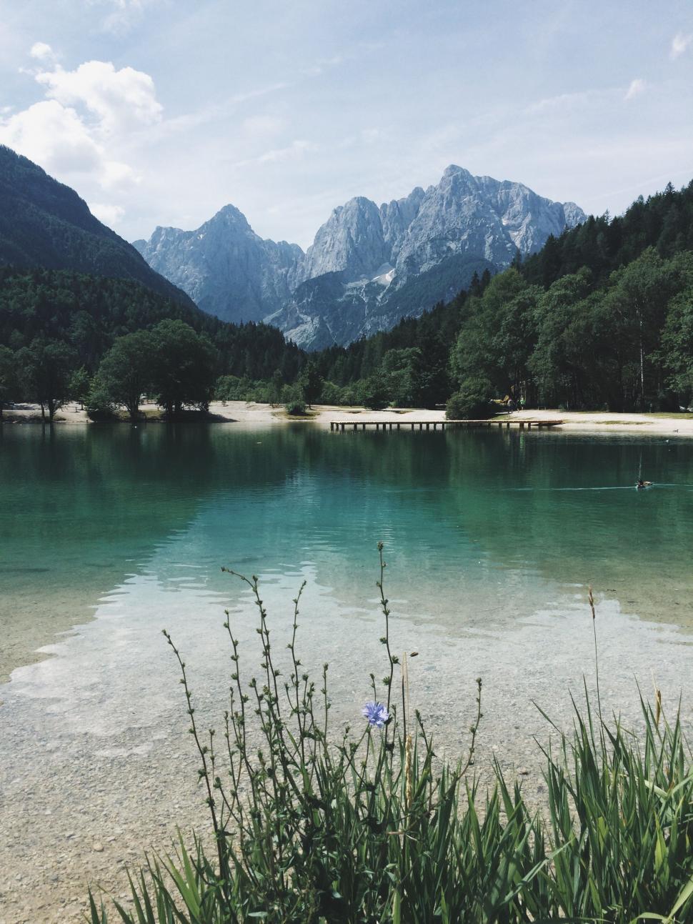 Free Image of Mountain Lake Surrounded by Trees 