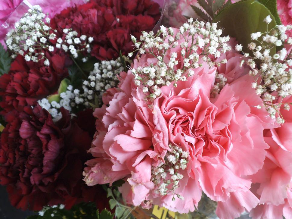 Free Image of Vase Filled With Pink and Red Flowers 