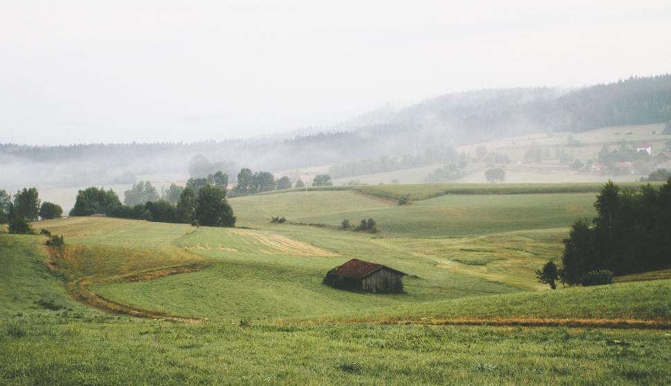 Free Image of House in the Center of a Field 