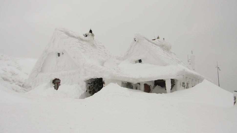 Free Image of Snowy Houses Next to Each Other 