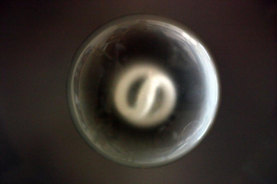 Free Image of Energy efficient light bulb 
