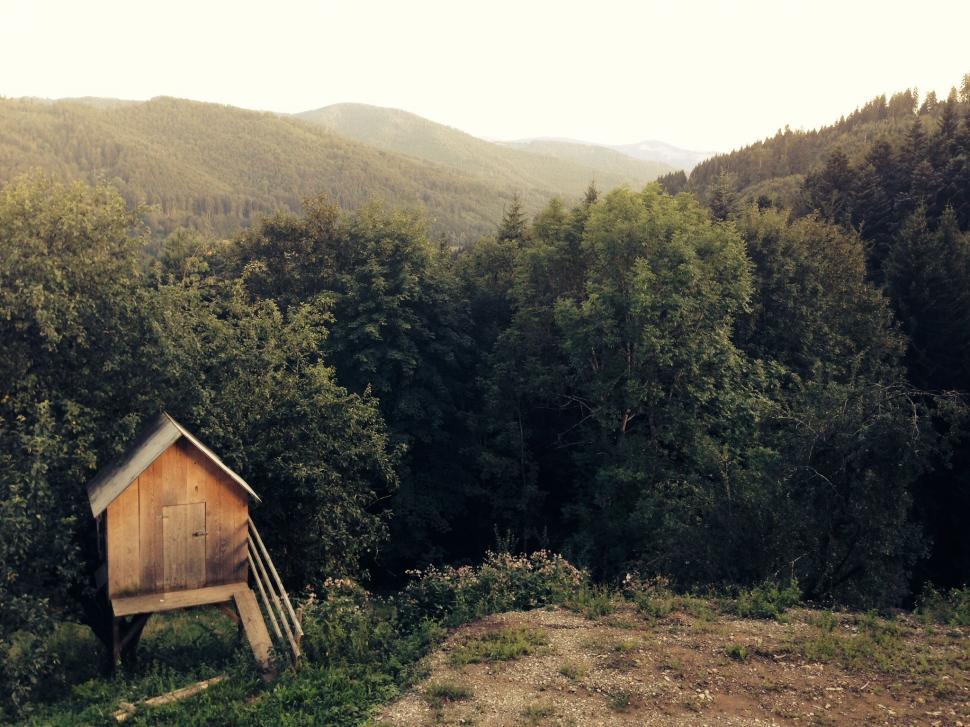 Free Image of Wooden Structure in Forest 