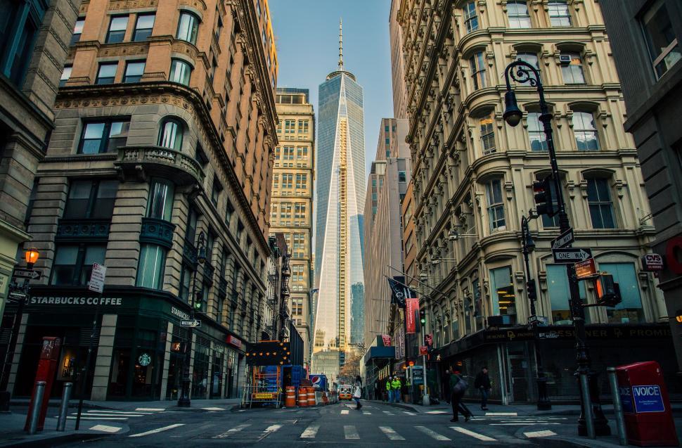 Free Image of Urban City Street With Tall Buildings 