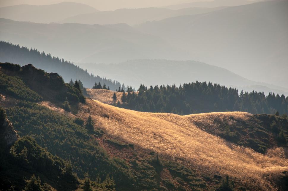 Free Image of Mountain Range With Trees in Foreground 