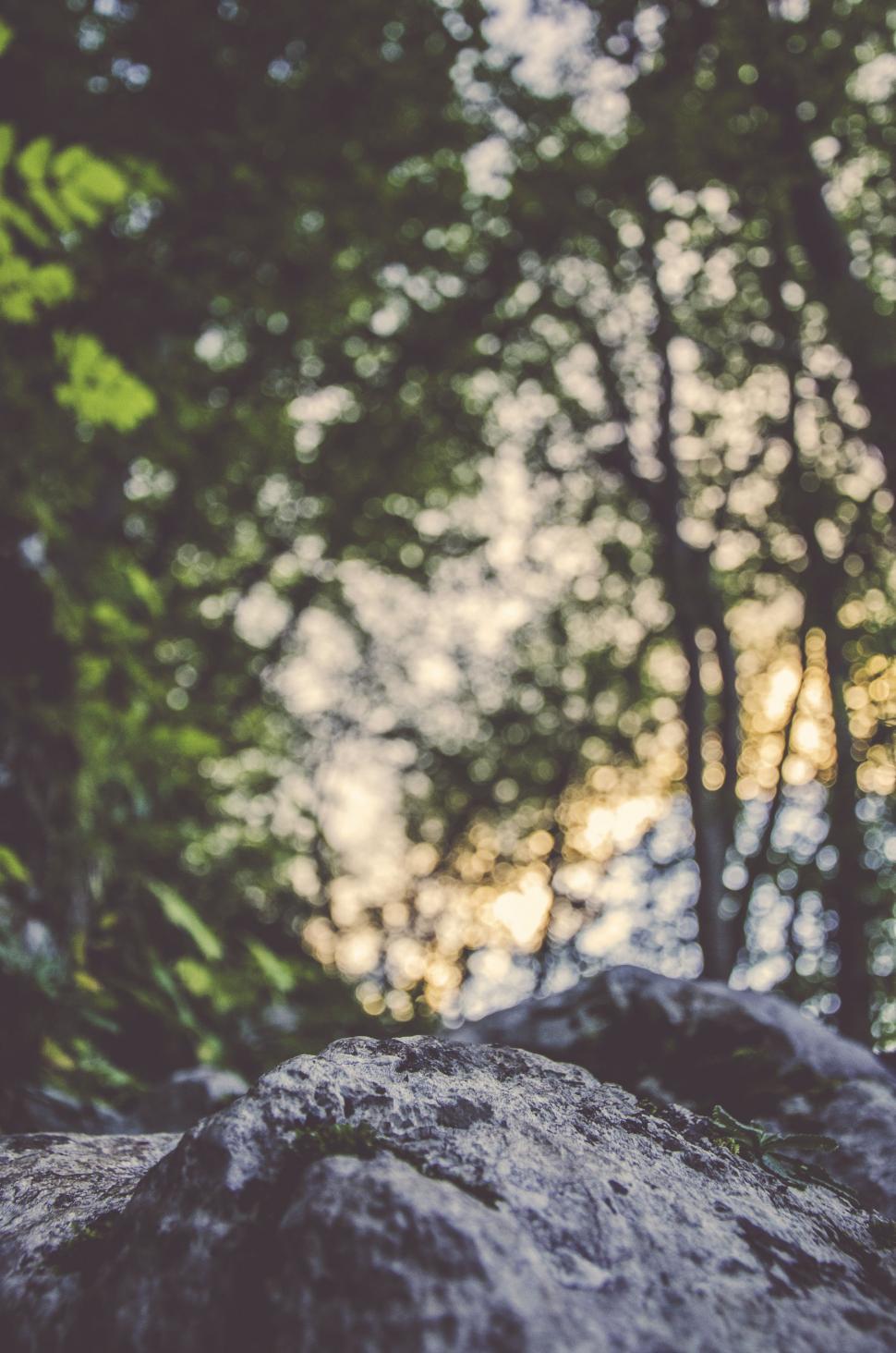 Free Image of Teddy Bear Sitting on Large Rock 