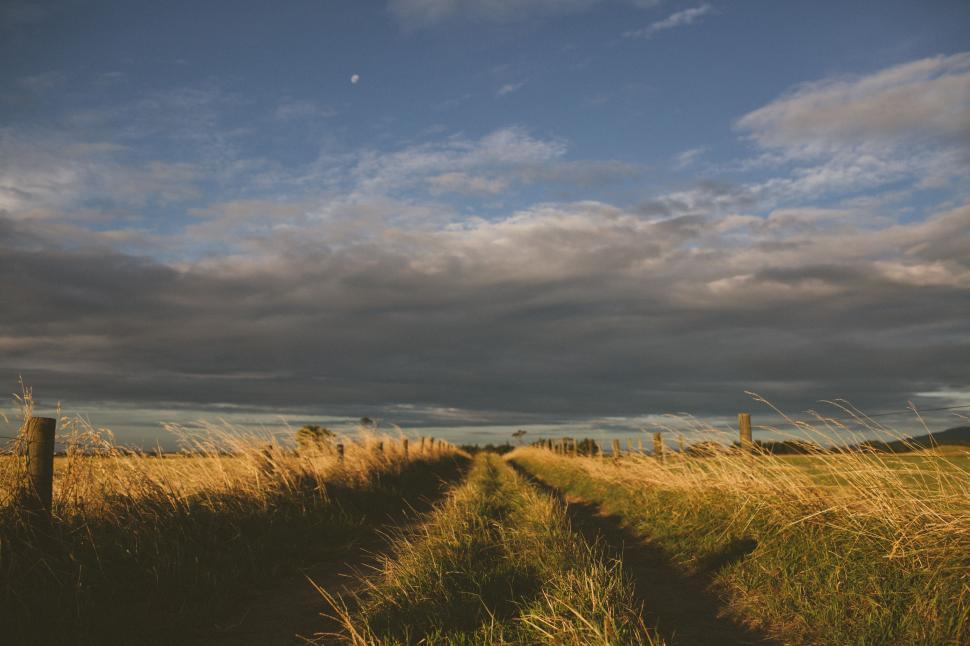 Free Image of Grassy Field With Fence in Foreground 