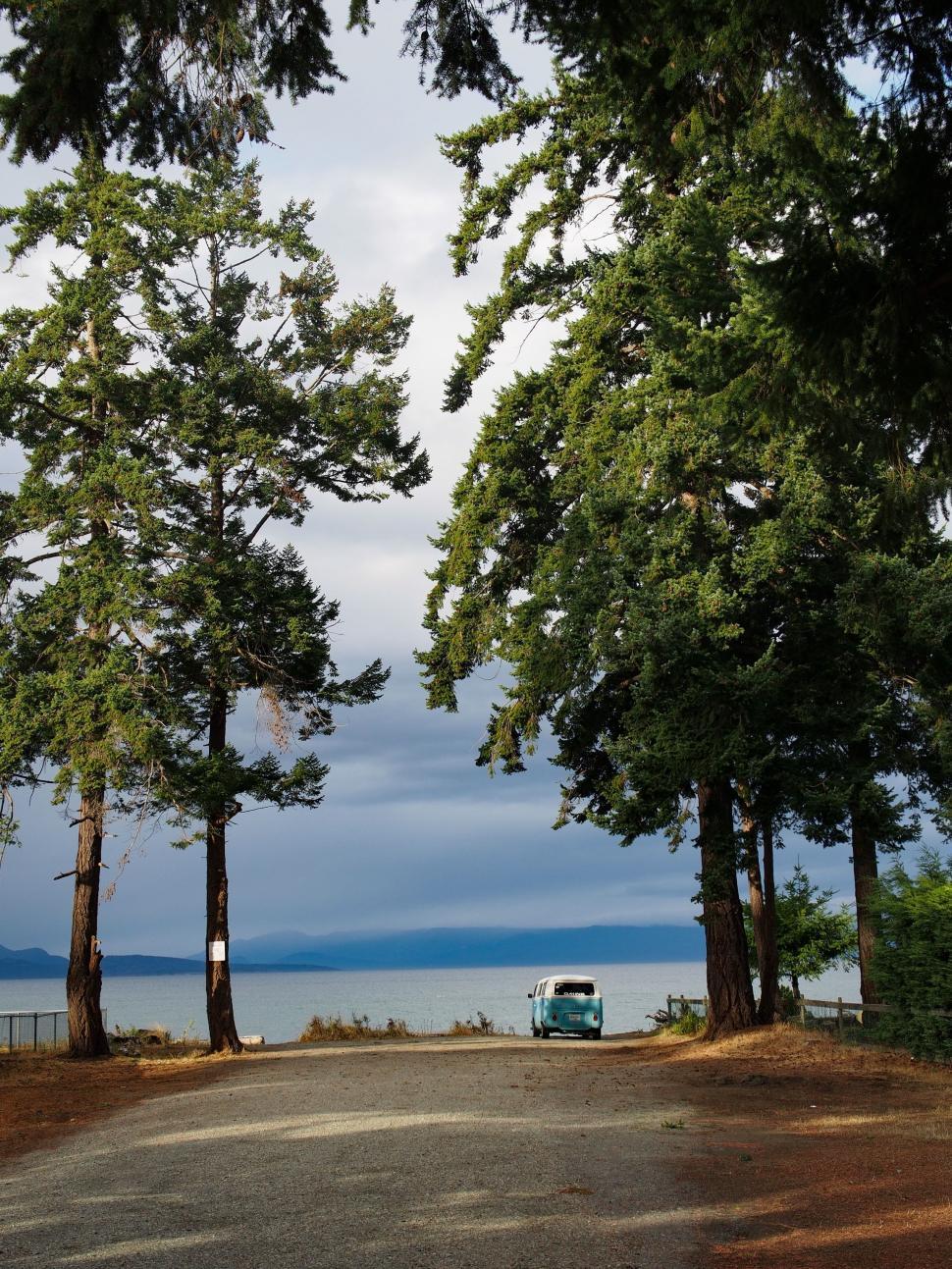 Free Image of Car Parked Next to Trees on Roadside 