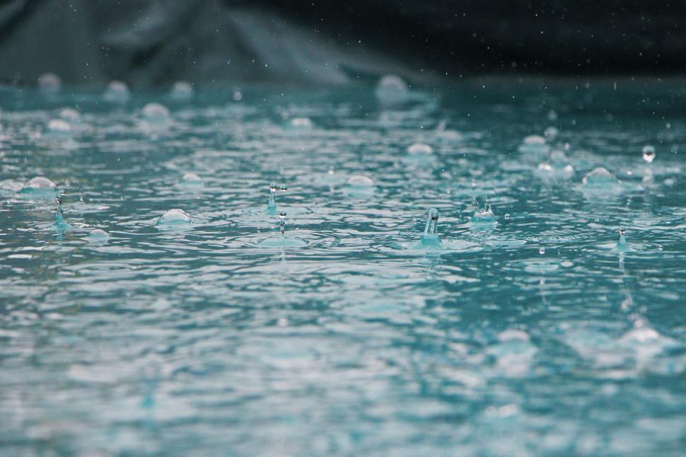Free Image of Group of Water Droplets Floating on Body of Water 