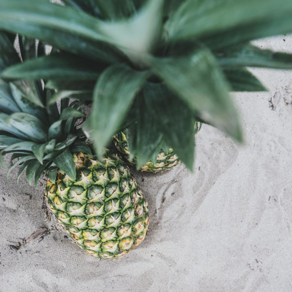 Free Image of Two Pineapples on Sandy Beach 