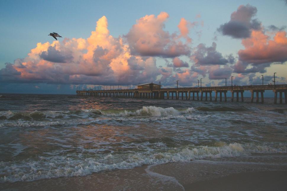 Free Image of Bird Flying Over Body of Water Under Cloudy Sky 