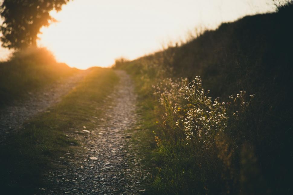 Free Image of Sun Shining on Dirt Road 