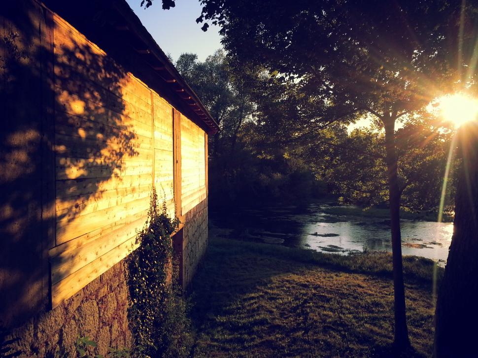 Free Image of Sunlight Streaming Through Trees Next to Building 