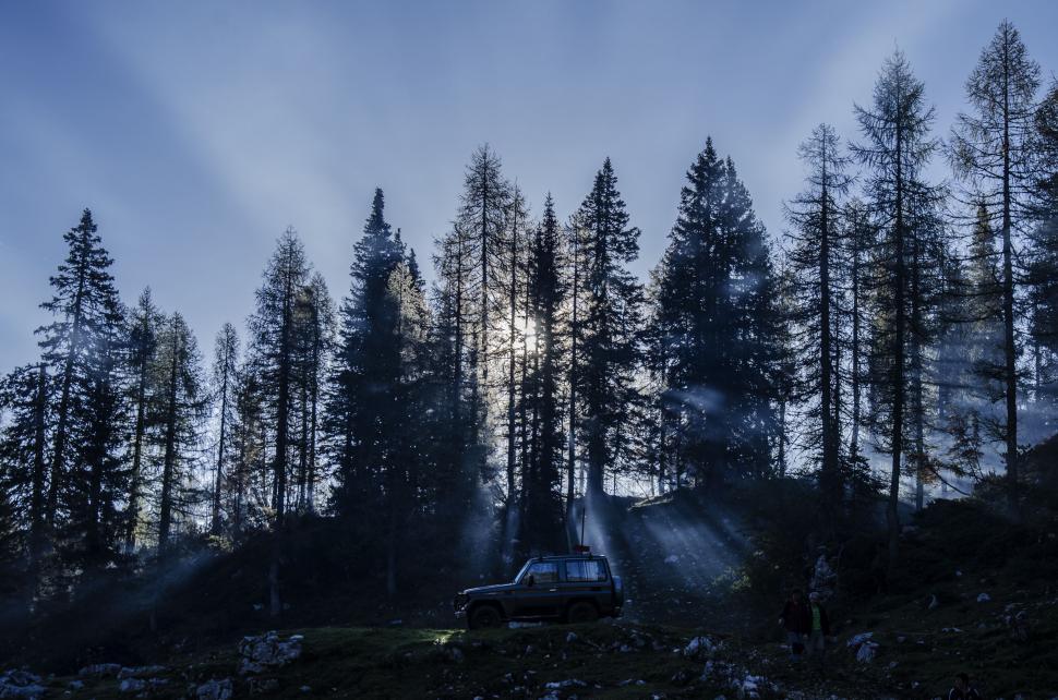 Free Image of Truck Driving Through Forested Road 