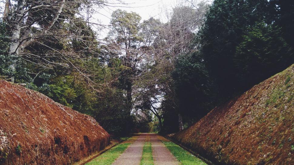 Free Image of Dirt Road Surrounded by Grass and Trees 