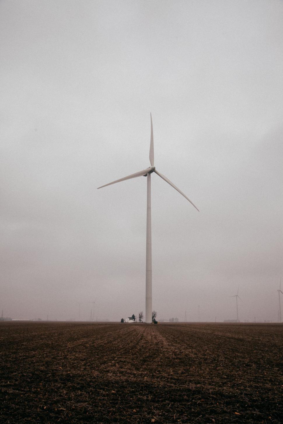 Free Image of Wind Farm in Black and White 
