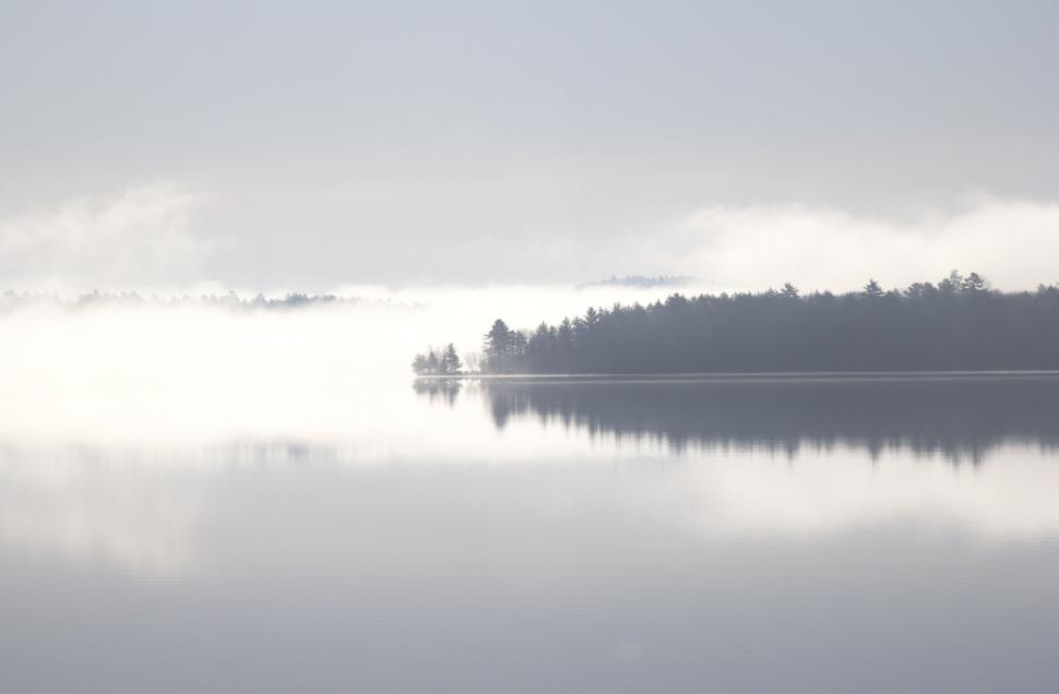 Free Image of Misty Lake Surrounded by Trees 