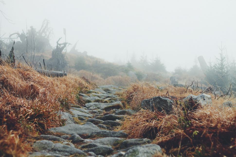 Free Image of Stone Path Cutting Through Foggy Field 