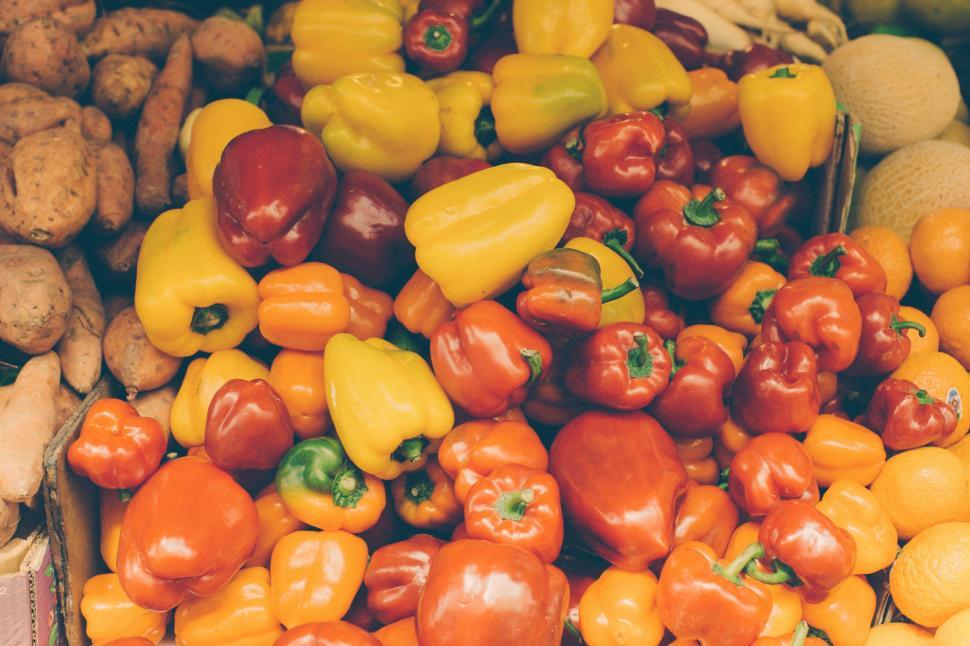 Free Image of Variety of Fresh Vegetables on Display 