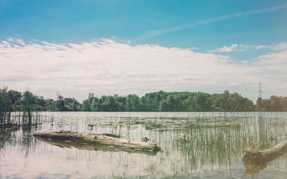 Free Image of Large Log Floating in Middle of Lake 