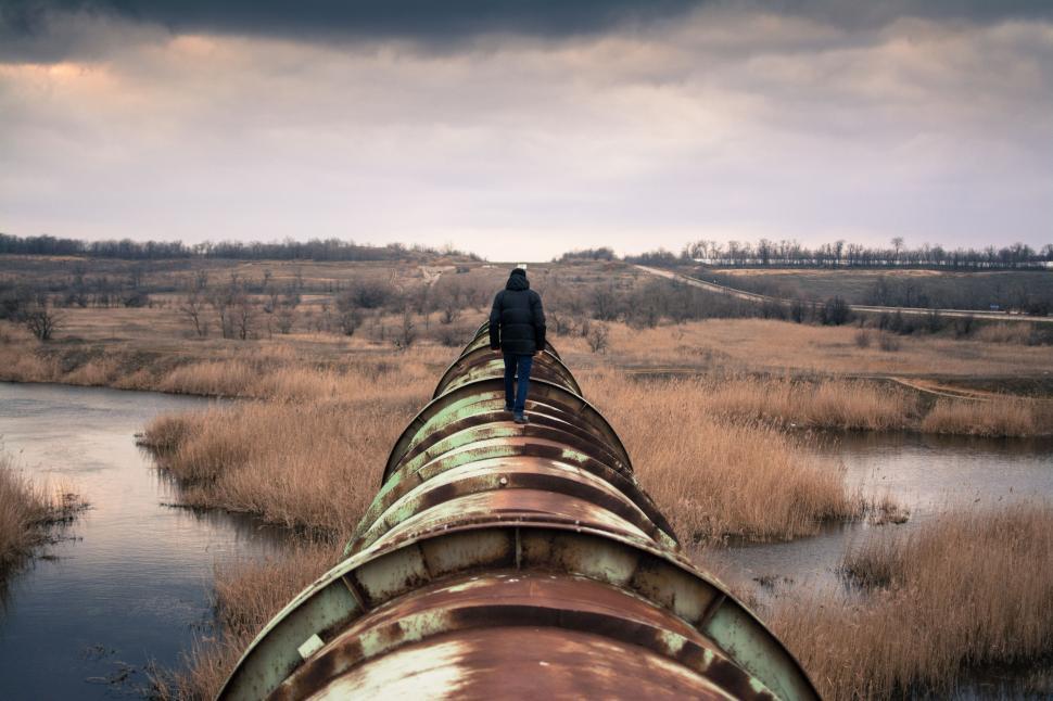 Free Image of Bird Perched on Pipe in Field 
