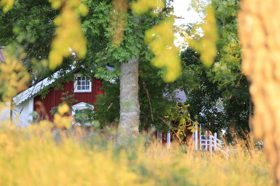Free Image of Red House Among Trees 