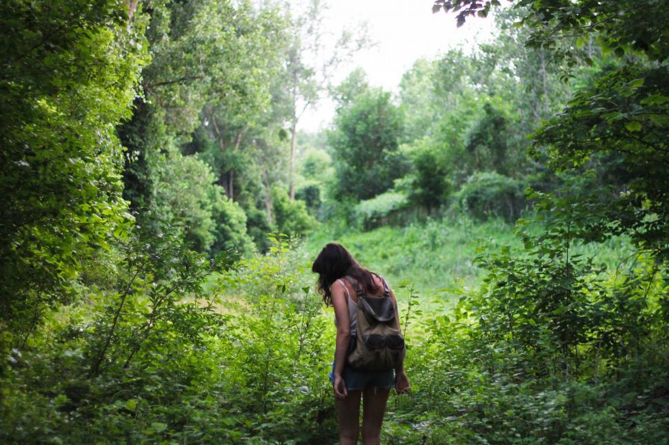 Free Image of Man Walking Through a Lush Green Forest 