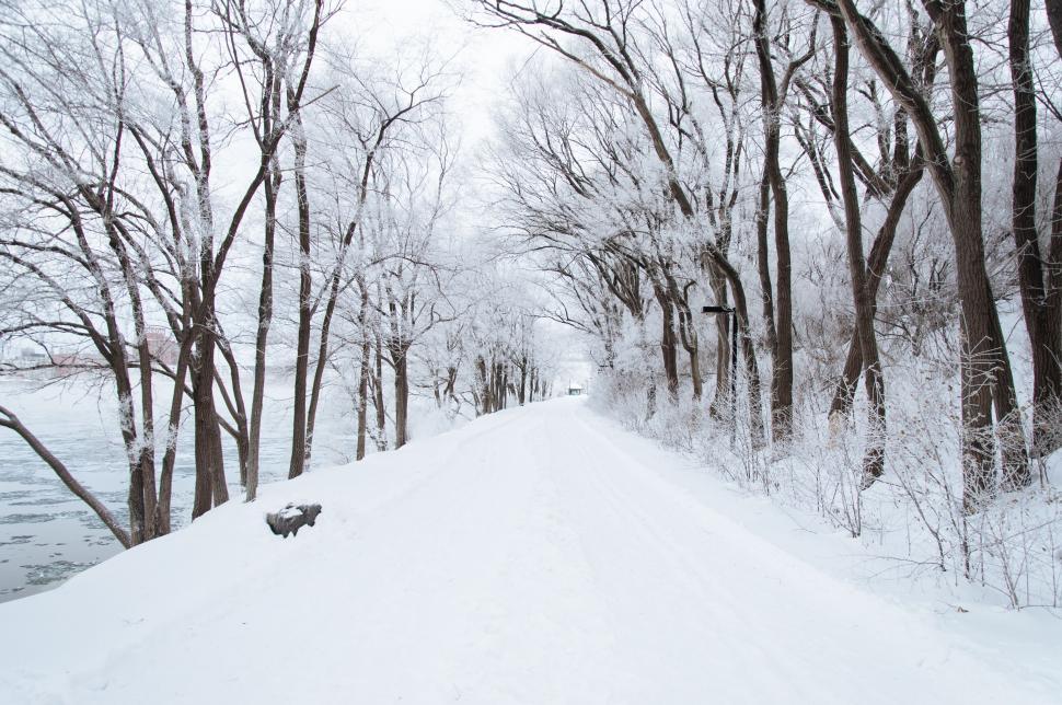 Free Image of Person Snowboarding Down Snow-covered Road 