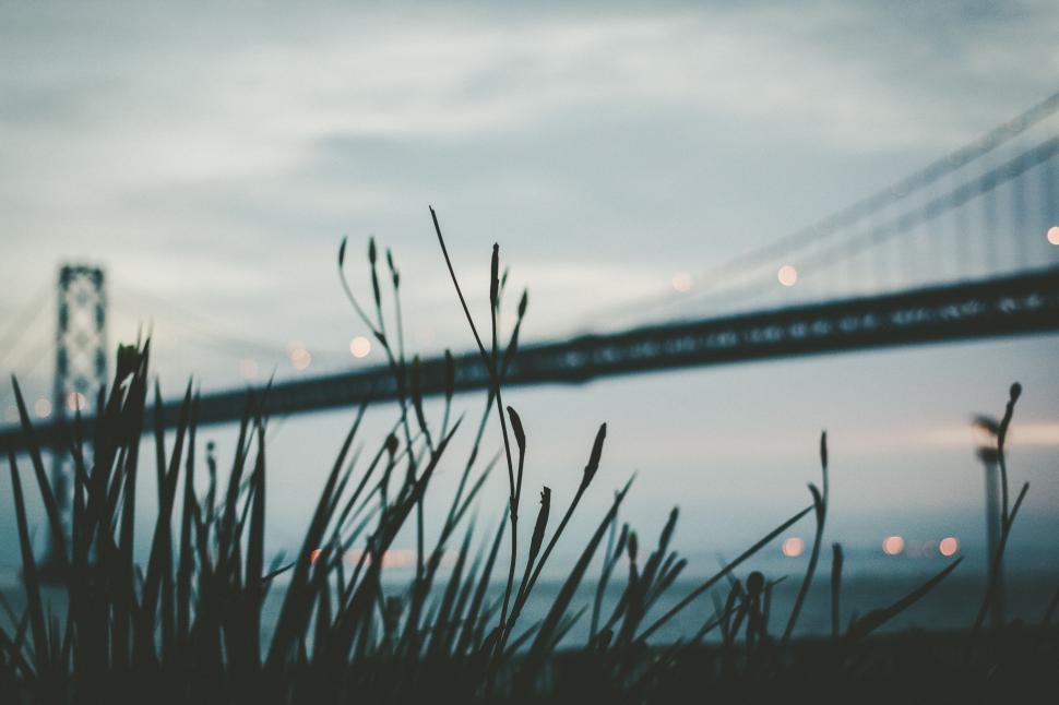 Free Image of Blurry Bridge Over Body of Water 