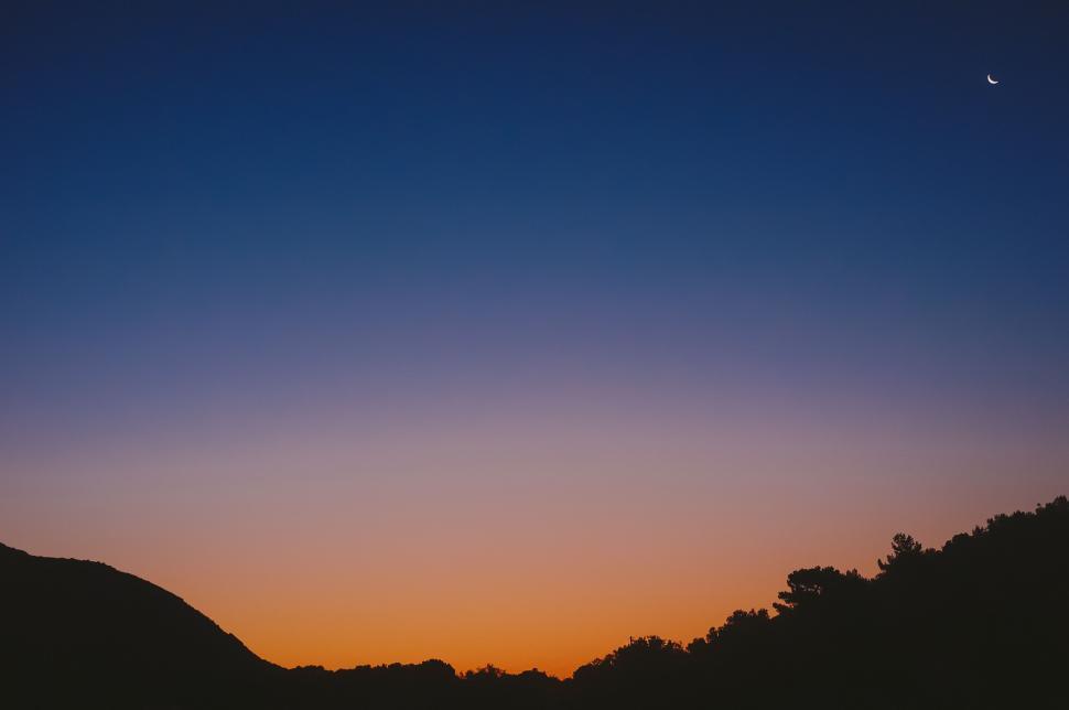 Free Image of Bird Flying in the Sky at Sunset 