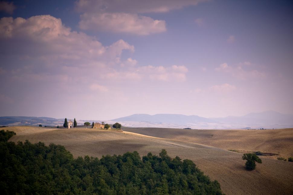 Free Image of Field With Trees and Hills 