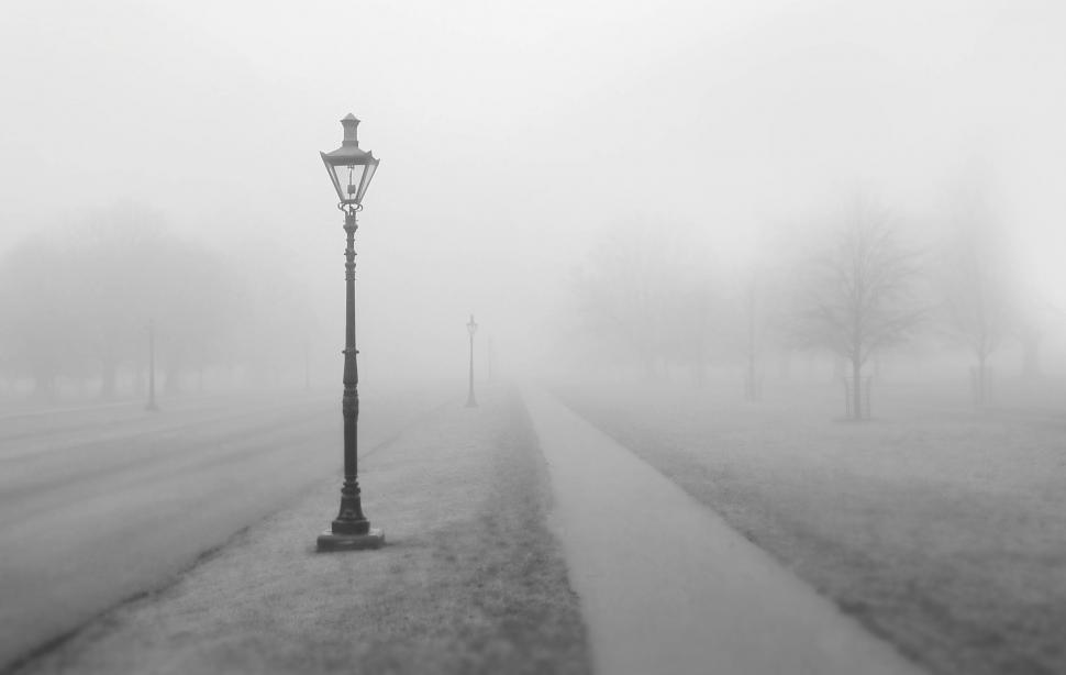 Free Image of Street Light Alongside Road 